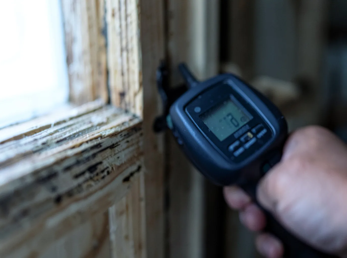 Moisture Inspection And Documentation in Provencal, LA